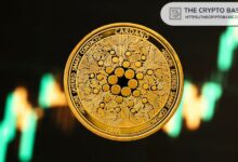 محفزات تُبقي مستثمري كاردانو متفائلين رغم تراجع سعر ADA الأخير
