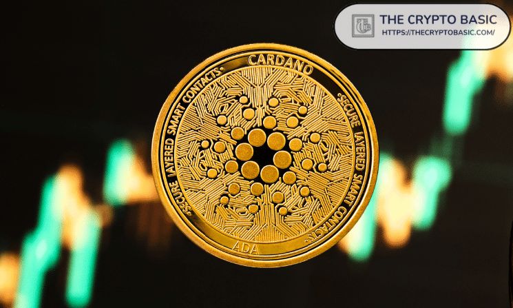 محفزات تُبقي مستثمري كاردانو متفائلين رغم تراجع سعر ADA الأخير