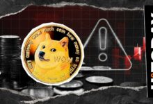 كيف تحمي عملاتك الرقمية؟ خبير DOGE يكشف مخاطر المحافظ الباردة