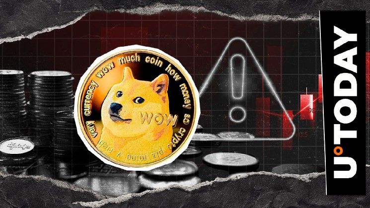 كيف تحمي عملاتك الرقمية؟ خبير DOGE يكشف مخاطر المحافظ الباردة