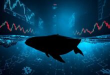 الحوت يفتح مراكز بيع برافعة مالية بقيمة 81.6 مليون دولار على BTC وETH في هايبرليكويد