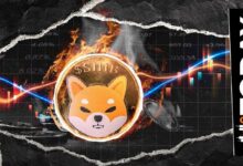 حرق 10,684,707 شيبا إينو مع قفزة معدل الحرق بنسبة 439%