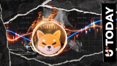 حرق 10,684,707 شيبا إينو مع قفزة معدل الحرق بنسبة 439%