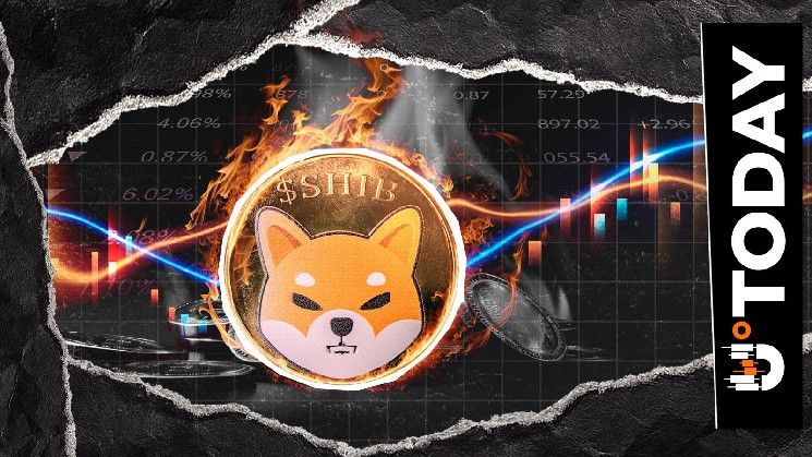 حرق 10,684,707 شيبا إينو مع قفزة معدل الحرق بنسبة 439%