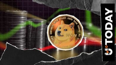 كتلة التكوين من Dogecoin: مكافأة كوين بيز كانت 88 DOGE — لماذا يهم هذا الأمر