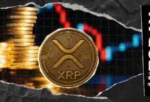 تحذير من التصيد الاحتيالي لـ XRP: لماذا يهمك الأمر