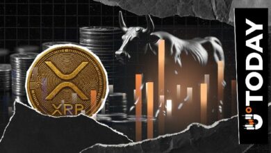 XRP يسجل اختلالًا في التصفية بنسبة 2,809% مع مفاجأة المضاربين على الارتفاع