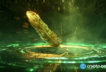 صندوق روبن هود الاستثماري بـ225.5 مليون دولار يفتتح دون سعر الطرح العام