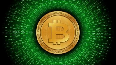 نشاط غير معتاد على سلسلة بلوكتشين بيتكوين: أربع محافظ من حقبة ما بعد ساتوشي تستيقظ بعد 12 عامًا بأرباح تتجاوز 8,000%