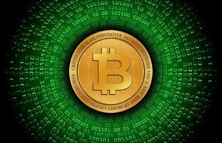 نشاط غير معتاد على سلسلة بلوكتشين بيتكوين: أربع محافظ من حقبة ما بعد ساتوشي تستيقظ بعد 12 عامًا بأرباح تتجاوز 8,000%