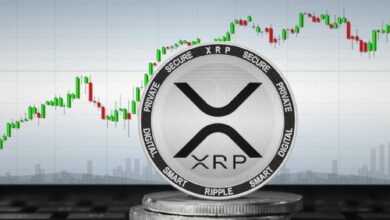 حيتان XRP تمتص 72 مليون عملة إضافية مع تراجع صناديق الاستثمار المتداولة عن صافي مليار دولار