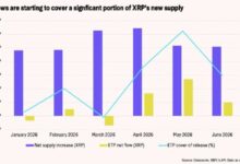 XRP تواجه تخفيفًا سنويًا بنسبة 5.5% في العرض مع تراجع إيرادات XRPL بنسبة 81.6%