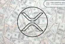 تقرير: 322,000 حساب فقط يمتلكون أكثر من 10,000 XRP، وفقًا لقائمة الأثرياء