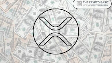 تقرير: 322,000 حساب فقط يمتلكون أكثر من 10,000 XRP، وفقًا لقائمة الأثرياء