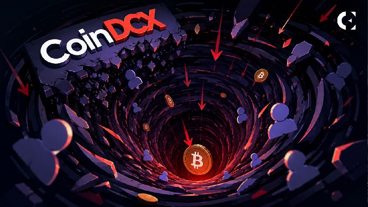 مستخدم CoinDCX: 27,500 روبية كادت تختفي في عملية Swap بـ Web3 بسبب انزلاق السعر