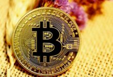 بيانات السلسلة للبيتكوين والعملات البديلة تم تحديثها: إليك أحدث المعلومات التي تحتاج إلى معرفتها