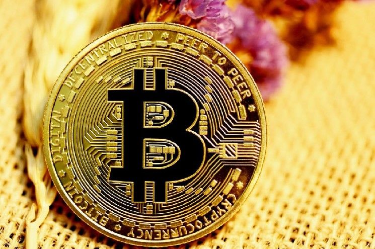 بيانات السلسلة للبيتكوين والعملات البديلة تم تحديثها: إليك أحدث المعلومات التي تحتاج إلى معرفتها