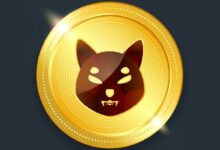 811 مليار شيبا إينو (SHIB) تتدفق: هل يسعى المستثمرون إلى جني الأرباح؟