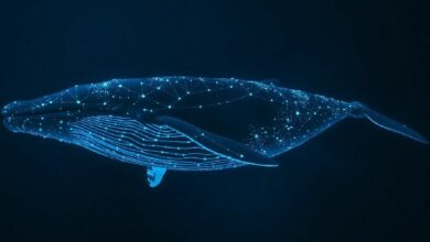 عنوان حوت يشتري 3.7 مليون دولار من عملة ENA ويقوم بالتخزين في منصة Ethena