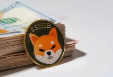 دبي للهدايا الحرة ترحب بعملة شيبا إينو (SHIB): إطلاق المدفوعات من العملات الرقمية إلى النقد لأول مرة على الإطلاق