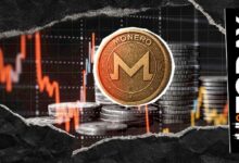 حوت العملات المشفرة يفتح مركز شراء بقيمة 14.3 مليون دولار على XMR في هايبرليكويد