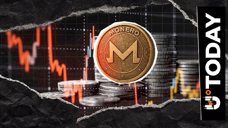 حوت العملات المشفرة يفتح مركز شراء بقيمة 14.3 مليون دولار على XMR في هايبرليكويد