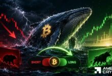 حيتان البيتكوين تتجه للشراء بـ86 مليون دولار بينما يبقى الأفراد على البيع: هل تهبط عملة BTC إلى 60 ألف دولار؟