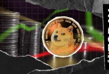 أغسطس يبدأ بقوة: تدفقات دوجكوين الفورية ترتفع 116%، هل تشهد DOGE موجة صعود قادمة؟