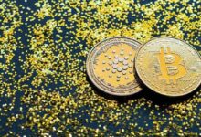قنوات الدفع عبر Lightning تصل إلى كاردانو