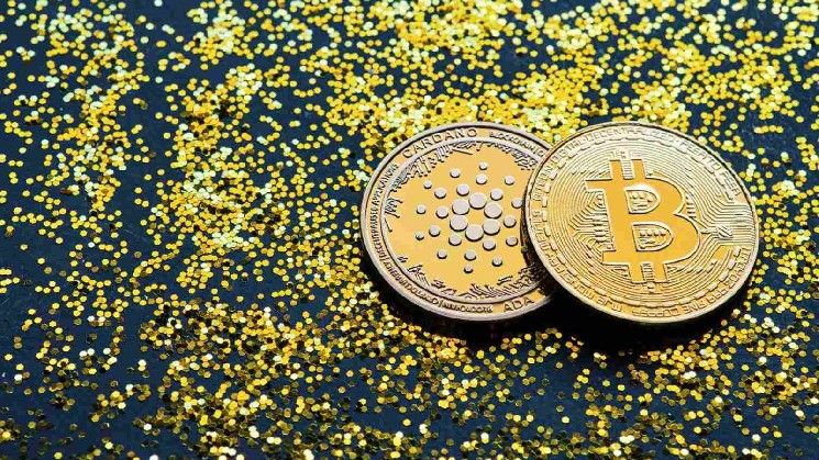 قنوات الدفع عبر Lightning تصل إلى كاردانو