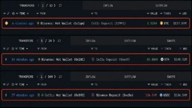 سحب "سيفو" 263 مليون دولار من البيتكوين والإيثريوم من بينانس في 30 دقيقة
