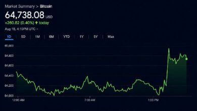 الوضوح، خطط 401(k)، وحاملو المدى الطويل يقودون 5 رياح خلفية لبيتكوين