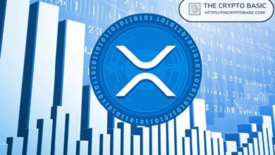 NUPL لعملة XRP يصل لمستويات استسلام عميقة التي ميزت قيعان السوق السابقة