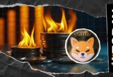 ارتفاع معدل حرق شيبا إينو بنسبة 1020% يلتهم 20.82 مليون توكن SHIB
