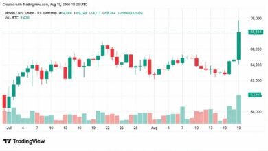 بيتكوين يقفز إلى 70 ألف دولار ويمحو 1.9 مليار دولار في اكتساح قصير الأجل