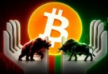 حيتان البيتكوين تشتري 19,610 عملة بينما يبيع الأفراد بعد ذعر أمني في كولدكارد