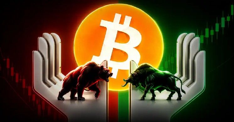 حيتان البيتكوين تشتري 19,610 عملة بينما يبيع الأفراد بعد ذعر أمني في كولدكارد