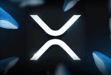 سعر XRP عند 10 دولارات: حجة البنية التحتية المالية التي لا علاقة لها بالضجيج