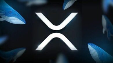 سعر XRP عند 10 دولارات: حجة البنية التحتية المالية التي لا علاقة لها بالضجيج