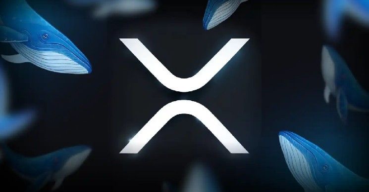 سعر XRP عند 10 دولارات: حجة البنية التحتية المالية التي لا علاقة لها بالضجيج