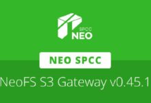 بوابة NeoFS S3 الإصدار v0.45.1 يُحسّن أداء القراءة والكتابة عبر SDK RC21
