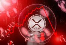 أهم إشارة لـ XRP تصل الآن