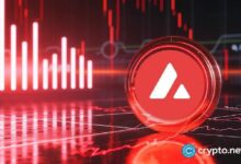 الرئيس التنفيذي لـ AVAX One: خسائر الربع البالغة 35.1 مليون دولار تخفي نموًا في أعمال التوقيع المساحي والخزينة