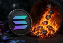إصلاح رسوم سولانا يرفع معدل الحرق ويجعل المستخدمين الثقيلين يدفعون أكثر