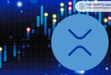 ارتفاع عمليات سحب XRP إلى أعلى حصة من معاملات البورصات في 7 سنوات