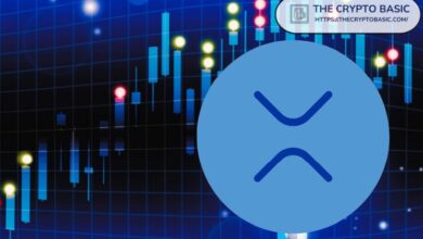 ارتفاع عمليات سحب XRP إلى أعلى حصة من معاملات البورصات في 7 سنوات