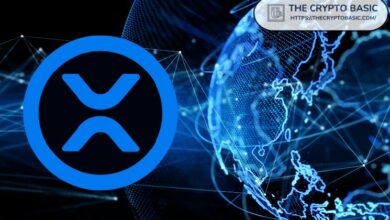 XRP يسجل حجم تحويلات يتجاوز 4 مليارات دولار من العملات المستقرة مع قفزة عدد الحائزين 36% إلى أكثر من 82,000