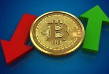 هل تنطلق البيتكوين والعملات البديلة أخيرًا؟ المحافظ الصغيرة تعاني بينما الحيتان الكبيرة تخزّن