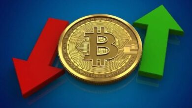 هل تنطلق البيتكوين والعملات البديلة أخيرًا؟ المحافظ الصغيرة تعاني بينما الحيتان الكبيرة تخزّن