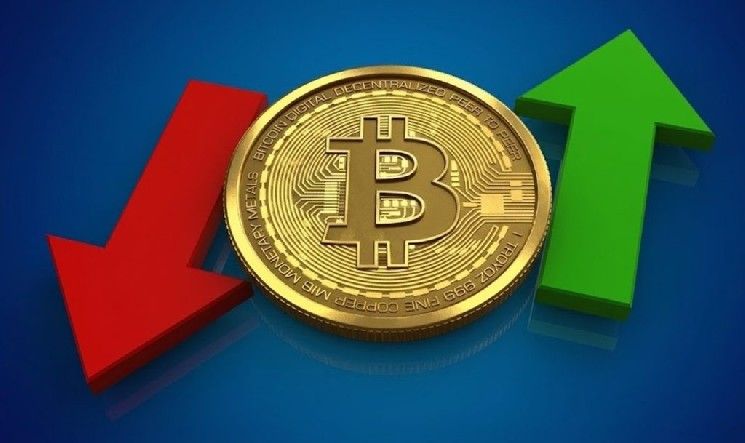 هل تنطلق البيتكوين والعملات البديلة أخيرًا؟ المحافظ الصغيرة تعاني بينما الحيتان الكبيرة تخزّن